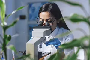 Microscope Examination Prints: Medical laboratory scientist perform tests on patient samples using a microscope