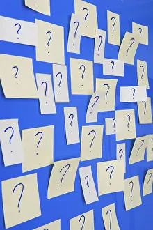 Butterfly Wildlife Photography Prints: Memo sheets on the wall with many question marks