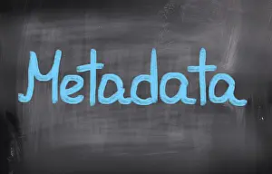 Cybercrime Protection Prints: Metadata Concept
