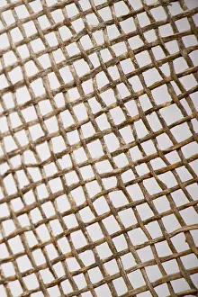 Deserted Metal Surface Prints: Metal surface as a background texture pattern