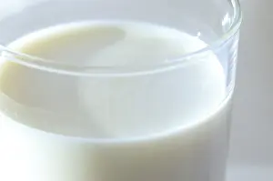 Beverage Photography Prints: Milk