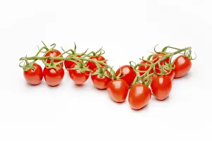 Studio Shot Tomatoes Prints: Mini Cherry Tomatoes