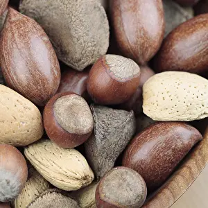 Studio Background Cuisine Prints: Mixed nuts