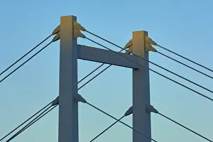 Uninhabited German Landscapes Prints: A modern bridge at sunset with clear cable structures and a cloudless sky