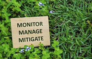 Climate Change Protection Prints: MONITOR, MANAGE, MITIGATE, Wooden cube with sustainability message on vibrant grass background highlighting monitoring