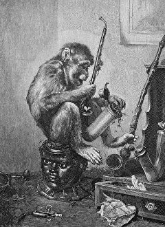 Monkey at the Table and Smoking