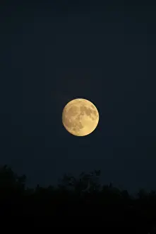 Full Moon Prints: Moon