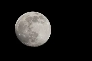 Full Moon Image Prints: Full moon