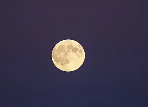 Dark Background Copy Space Prints: Full moon with cloudless night sky