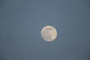 Northern Europe Atmosphere Prints: A full moon in the evening sky