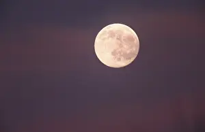 Full Moon Germany Prints: Full moon, Germany