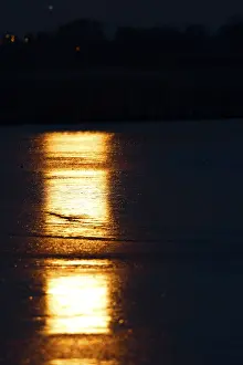 Middle Elbe Biosphere Reserve Prints: Full moon reflected in the ice