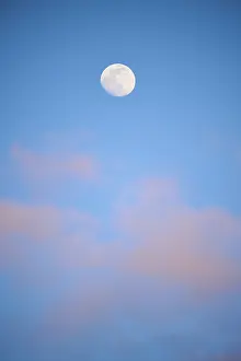 Bavaria Evening Sky Prints: Moon at sunset, evening, clouds