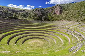 UNESCO World Heritage Site Peru Prints: Moray eel in Peru