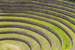 UNESCO World Heritage Site Peru Prints: Moray eel in Peru