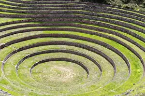 UNESCO World Heritage Site Peru Prints: Moray eel in Peru