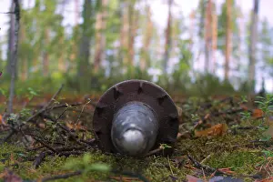 Uninhabited Countryside Scenery Prints: Mortar shell found in the woods