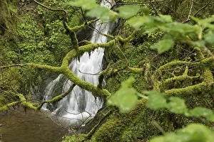 Moss Grown Rocks And Waterfalls Prints: Moss-covered rocks and waterfall
