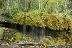 Waterfall In The Black Forest Prints: Moss-covered rocks and waterfall