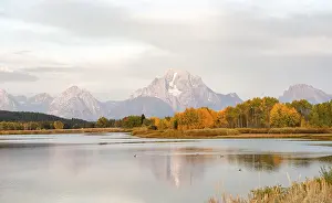Morning Light On Mountains Prints: Mount Moran reflected in Snake River