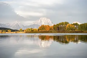Mountainous Autumn Landscape Prints: Mount Moran reflected in Snake River