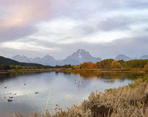 Morning Light On Mountains Prints: Mount Moran reflected in Snake River