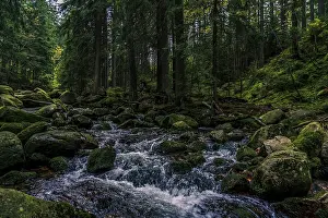 Deserted Countryside Photography Prints: Mountain and forest small river