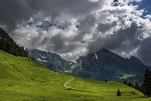 Mountain Meadow Switzerland Prints: Mountain meadow with path and Altmann summit in the background