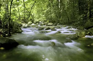 Wild River Scenery Prints: Mountain river