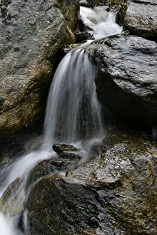 Clear Water Prints: Mountain stream