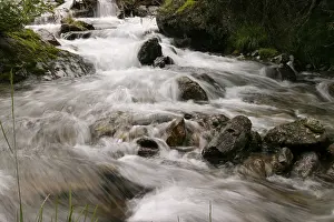 Mountain Stream Scenery Prints: Mountain stream