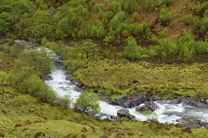British Countryside Landscape Shot Prints: Mountain stream in the highlands in spring