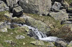 European Mountain Torrent Prints: Mountain stream, stream, Austria