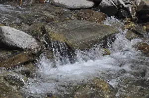 Mountain Stream Print, Austria