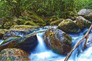 Nature Landscape Photo Prints: Mountain streams