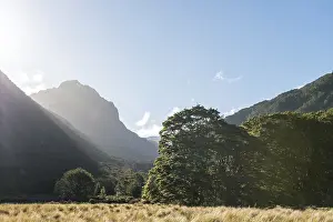 Deserted Mountain Range Scene Prints: Mountains and forest, Iris Burn Flat