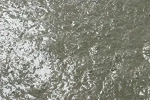 River Bank Scene Prints: Mud