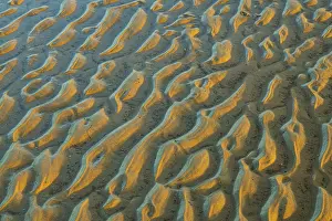 Low Tide Beach Scene Prints: Mudflats in evening light, beach