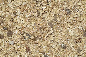 Cereal Product Image Prints: Muesli
