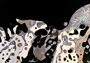 Liquid Crystals Microscope Prints: Multicolored display of liquid crystals under the microscope