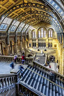 Prints of Natural history museum London Kensington Prints: Natural History Museum London Print
