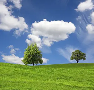 No People In The Countryside Prints: Nature