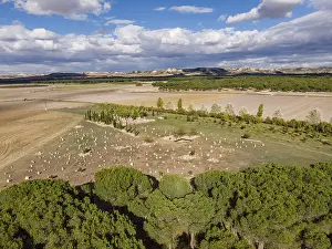 Ancient Burial Sites Prints: Necropolis of