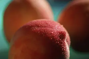 Grocery Store Foods Prints: Nectarine (Prunus spec.)
