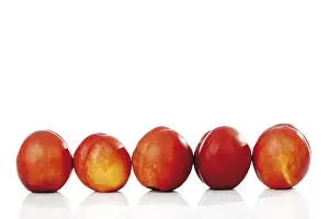 Balanced Diet Foods Prints: Nectarines