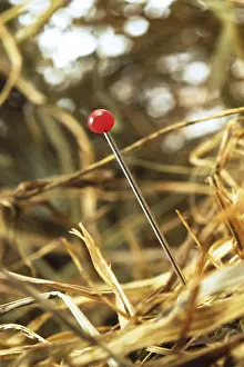 Indoor Studio Photography Prints: Needle in a stack of hay