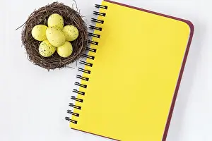 Easter Egg Painting Prints: Nest with painted Easter Eggs and blank notebook for copy-space