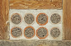 Wild Bee Nesting Aid Prints: Nesting aid for wild bees