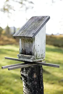 Bird Photography Habitat Prints: Nesting box