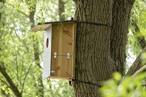Environmental Protection Germany Prints: Nesting box, tree, biosphere reserve